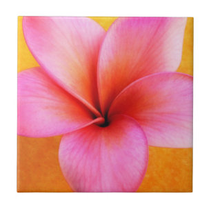 Pink Plumeria Frangipani Hawaii Flower Hawaiian Tile