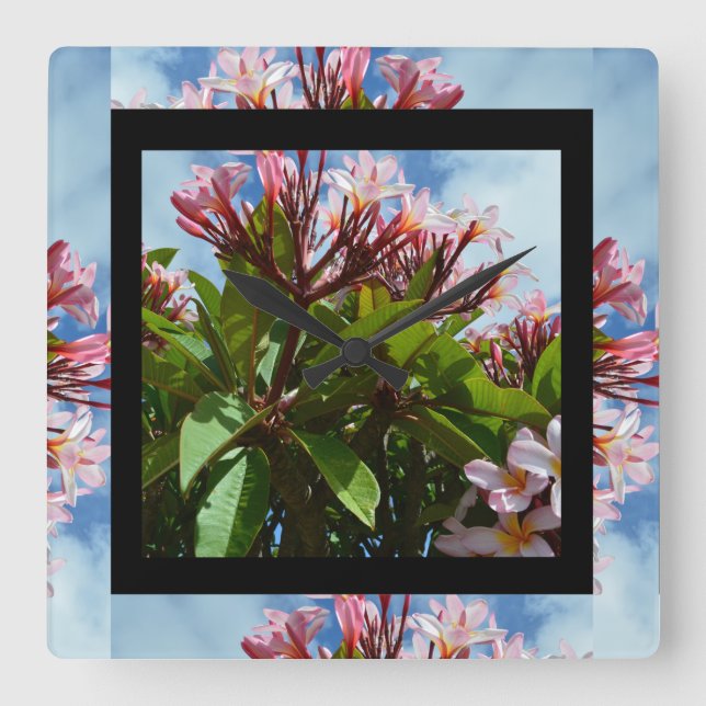 Pink Plumeria Frangipani Tree, Square Wall Clock (Front)