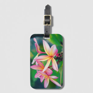 Pink Plumeria Luggage Tag