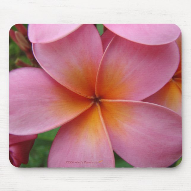 Pink Plumeria Mousepad (Front)