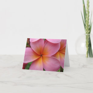 Pink Plumeria Notecard