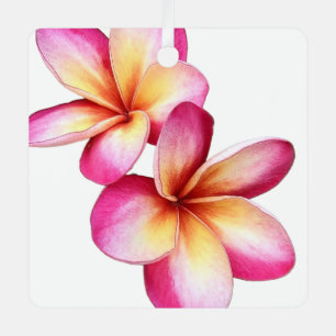 Pink Plumeria Ornament