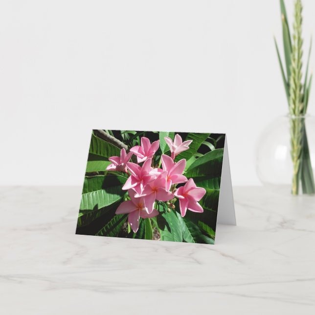 Pink Plumeria Photo Folded Note Card (Front)