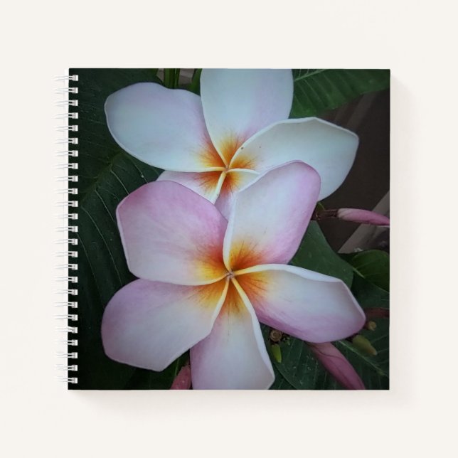 Pink Plumeria Spiral Notebook (Front)