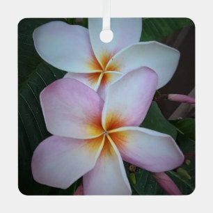 Pink Plumeria Square Ornament