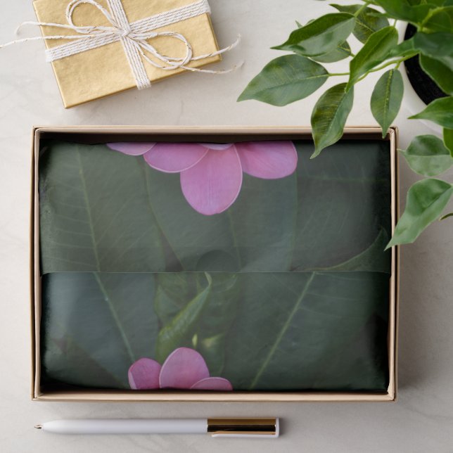 Pink Plumria Photo Tissue Paper (Gift)