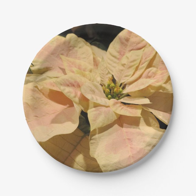 Pink Poinsettia Christmas Party Paper Plates (Front)