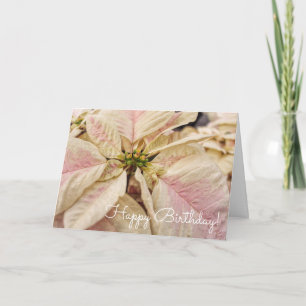 Pink Poinsettia December Birthday Card