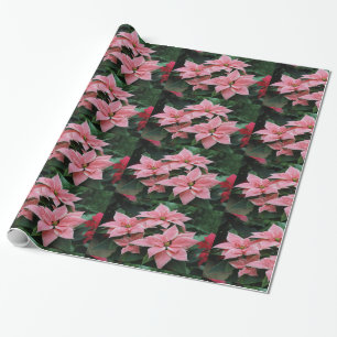 Pink Poinsettia Holiday Wrapping Paper
