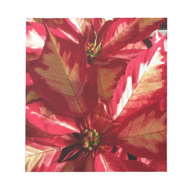Pink Poinsettia Notepad (Front)