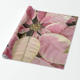 Pink Poinsettias Wrapping Paper