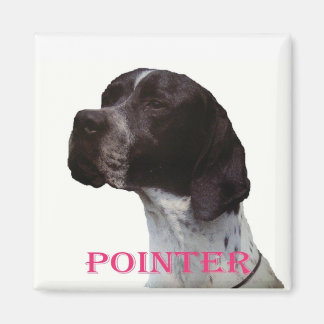 Pink pointer magnet
