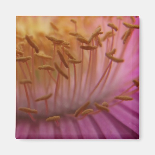 Pink Pollen Magnet (Front)