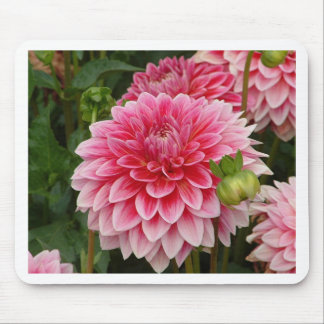 "Pink Pom Pom Dahlia" Mouse Mat
