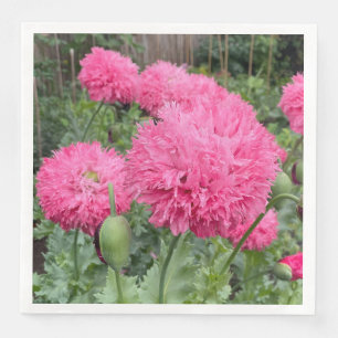 Pink Pom Pom Poppies Napkin