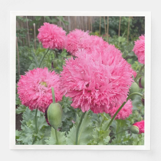 Pink Pom Pom Poppies Napkin (Front)