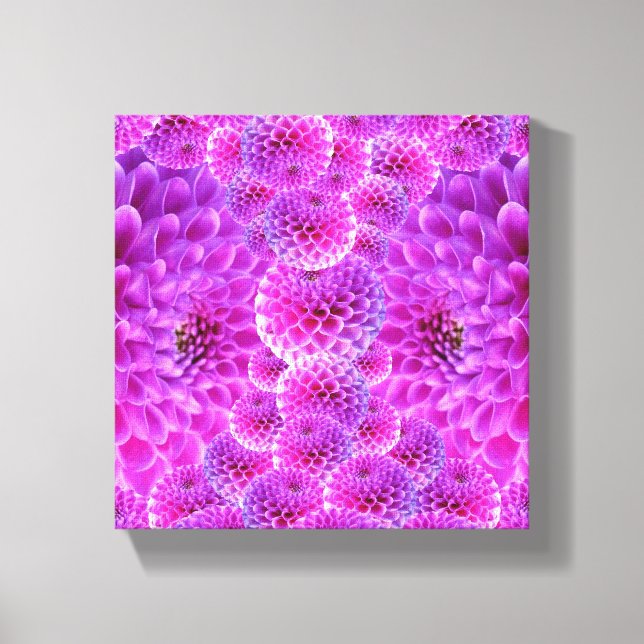 Pink PomPom Dahlia Flowers Canvas Print (Front)