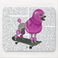 Pink Poodle and Skateboard