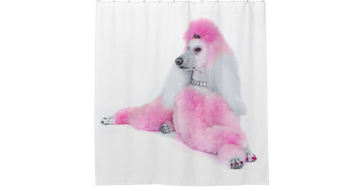 Pink Poodle Shower Curtain Zazzle