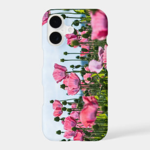 Pink Poppies