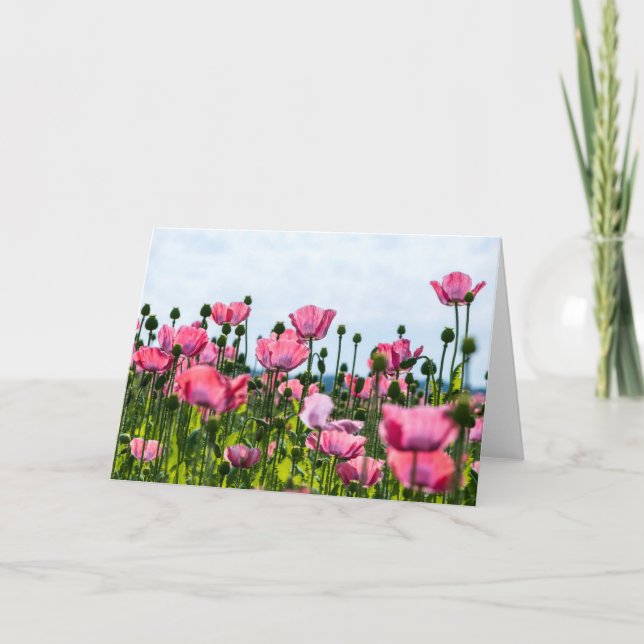 Pink Poppies Card (Front)