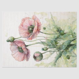 Pink Poppies, Delicate Floral Watercolor  Tissue Paper