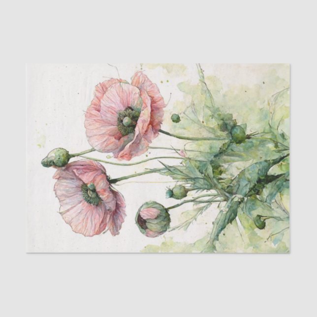 Pink Poppies, Delicate Floral Watercolor  Tissue Paper (Front)
