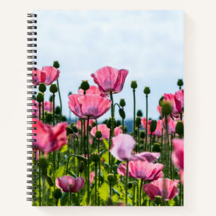 Pink Poppies Notebook