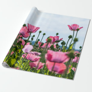 Pink Poppies Wrapping Paper