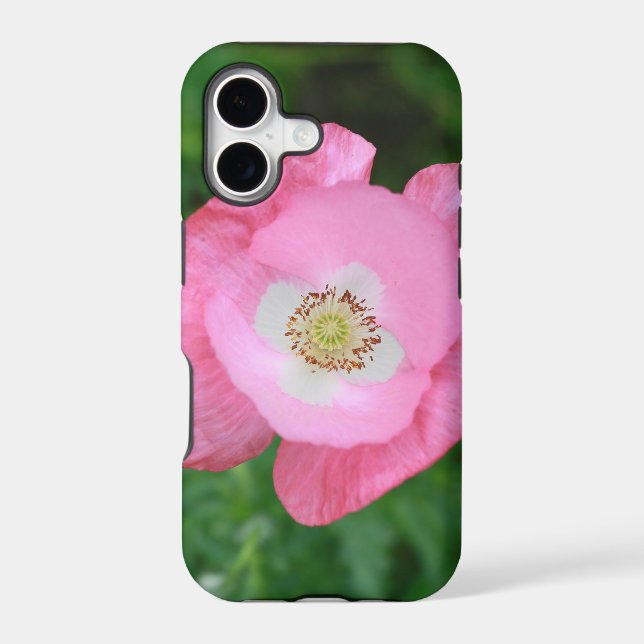 Pink Poppy (Back)
