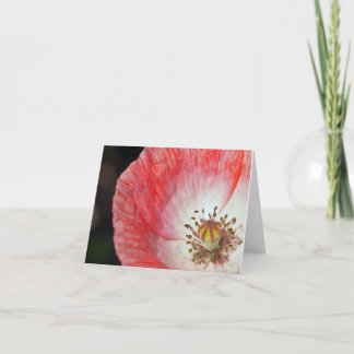 Pink Poppy Birthday Card