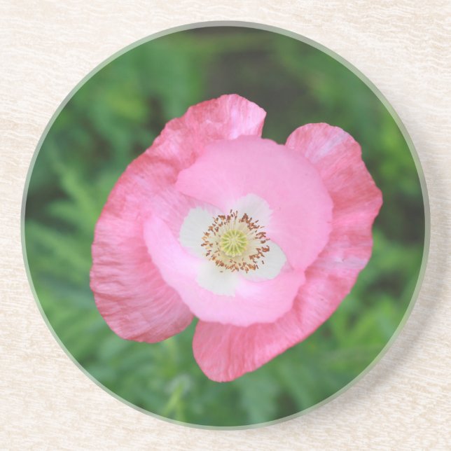 Pink Poppy Coaster (Front)