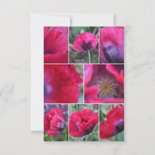 Pink Poppy Collage Card