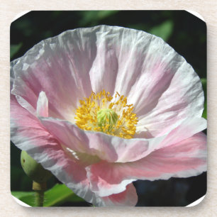 Pink Poppy Flower Coaster