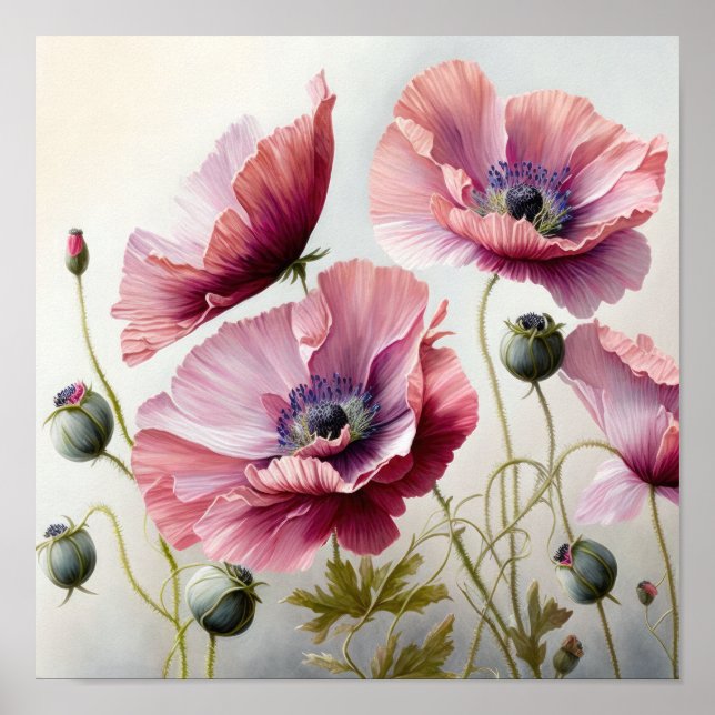 Pink Poppy Flowers Art Print Poster (Front)