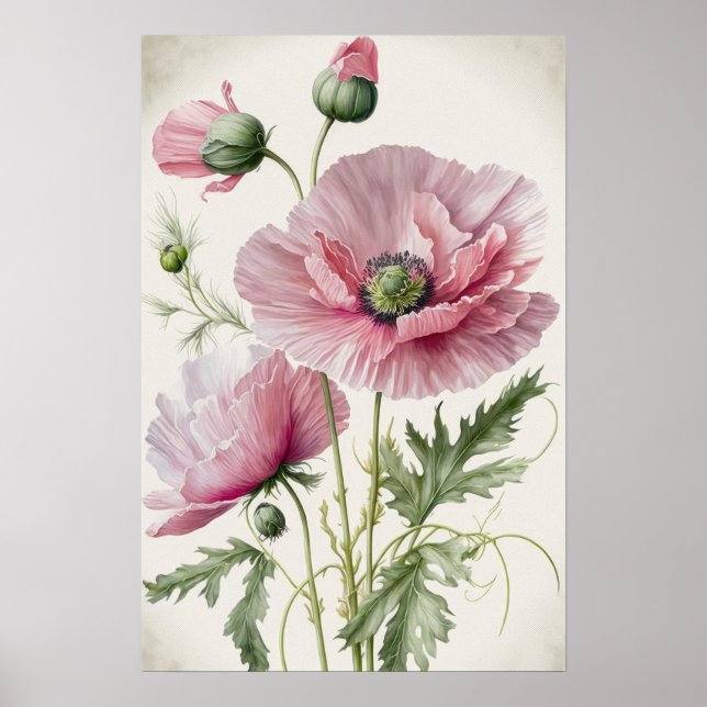 Pink Poppy Flowers Art Print Poster (Front)