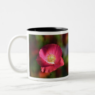 Pink Poppy in the Sunshine Photograph Two-Tone Coffee Mug