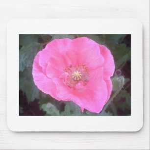 Pink Poppy Mouse Mat