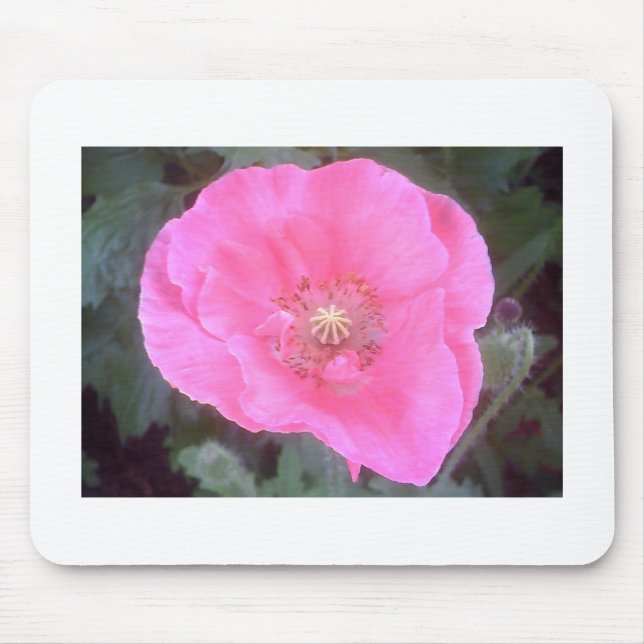 Pink Poppy Mouse Mat (Front)