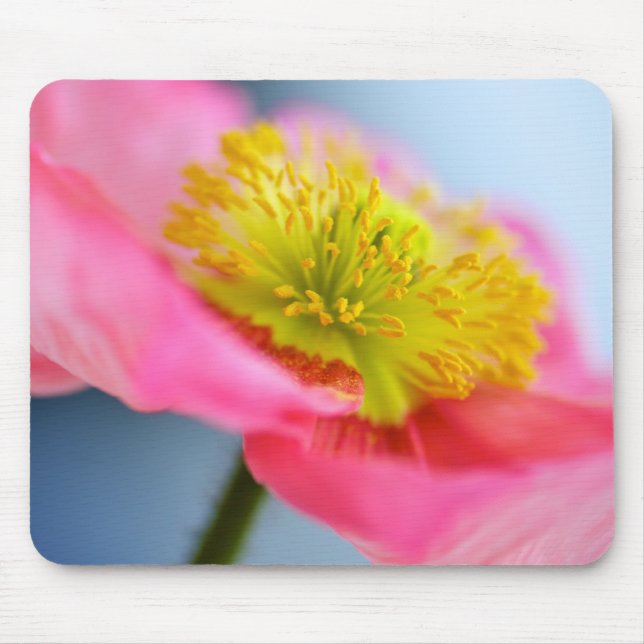 Pink Poppy Mouse Mat (Front)