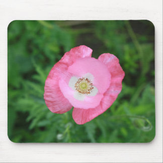 Pink Poppy Mouse Mat
