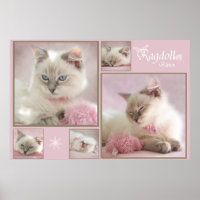 pink poster