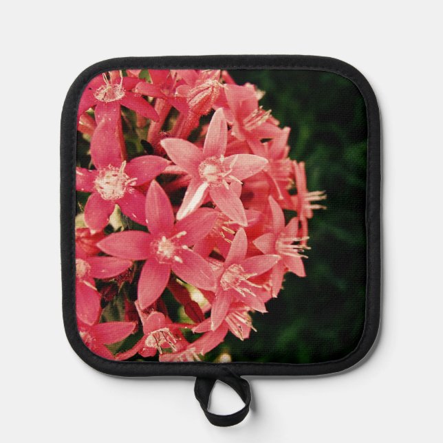 Pink Pot Holder (Front)