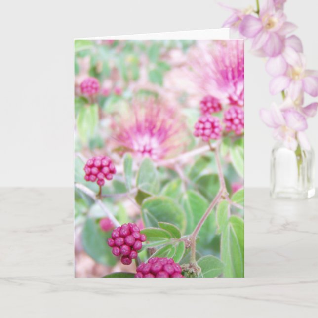 Pink Powder Puff Flowers and Green Foliage Card (Orchid)