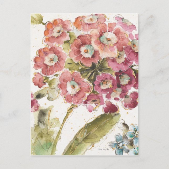 Pink Primrose Postcard (Front)