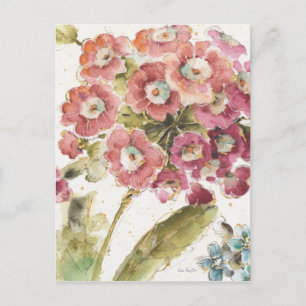 Pink Primrose Postcard
