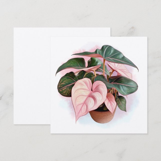 Pink Princess Philodendron Illustration (Front/Back)