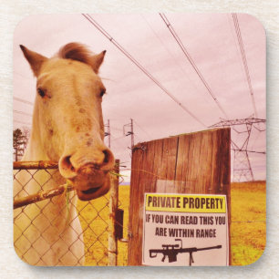 Pink Private Property Horse Coaster