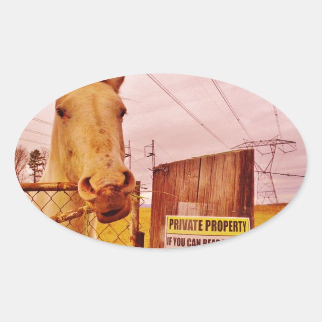 Pink Private Property Horse Oval Sticker (Front)