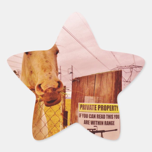 Pink Private Property Horse Star Sticker (Front)